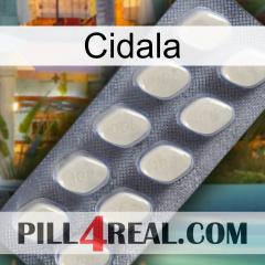 Cidala 08